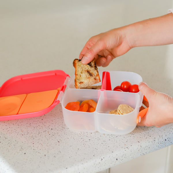 b.box Mini Lunchbox | Indigo Rose ⭐️